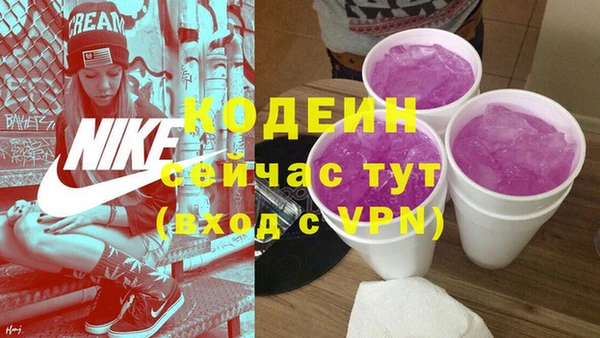 шишки Богородск