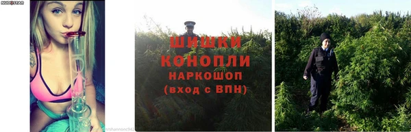 синтетический гашиш Белокуриха