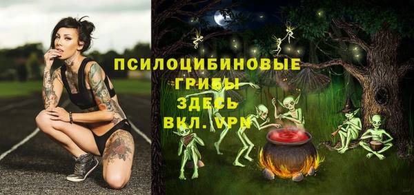 винт Богданович