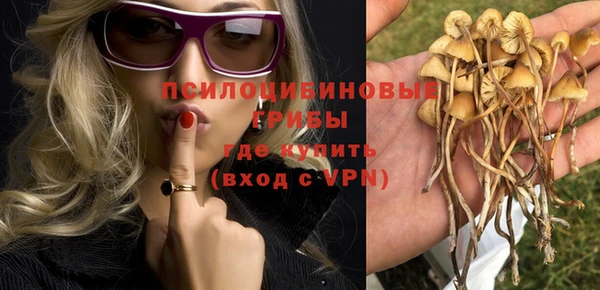 синтетический гашиш Белокуриха