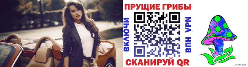 Псилоцибиновые грибы прущие грибы  Пионерский 